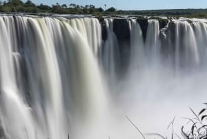 Traslado al aeropuerto de Victoria Falls