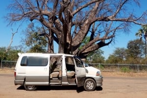 Victoria Falls : Airport Transfers