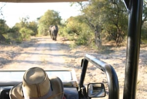 Victoria Falls: Baobab Safari - Sunrise and Mid Morning