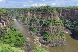 Victoria Falls: Baobab Safari - Sunrise and Mid Morning