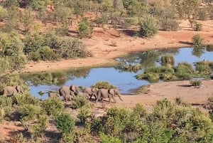 Victoria Falls: Baobab Safari - Sunrise and Mid Morning