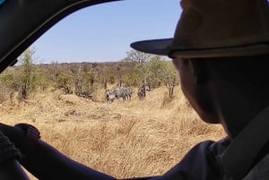 Victoria Falls: Baobab Safari - Sunrise and Mid Morning