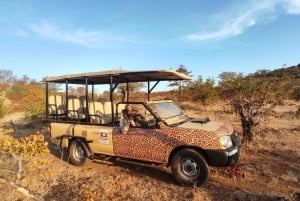 Victoria Falls: Baobab Safari - Sunrise and Mid Morning