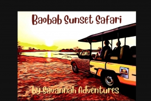 Victoria Falls: Baobab Safari - Sunrise and Mid Morning