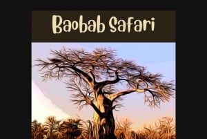 Victoria Falls: Baobab Safari - Sunrise and Mid Morning