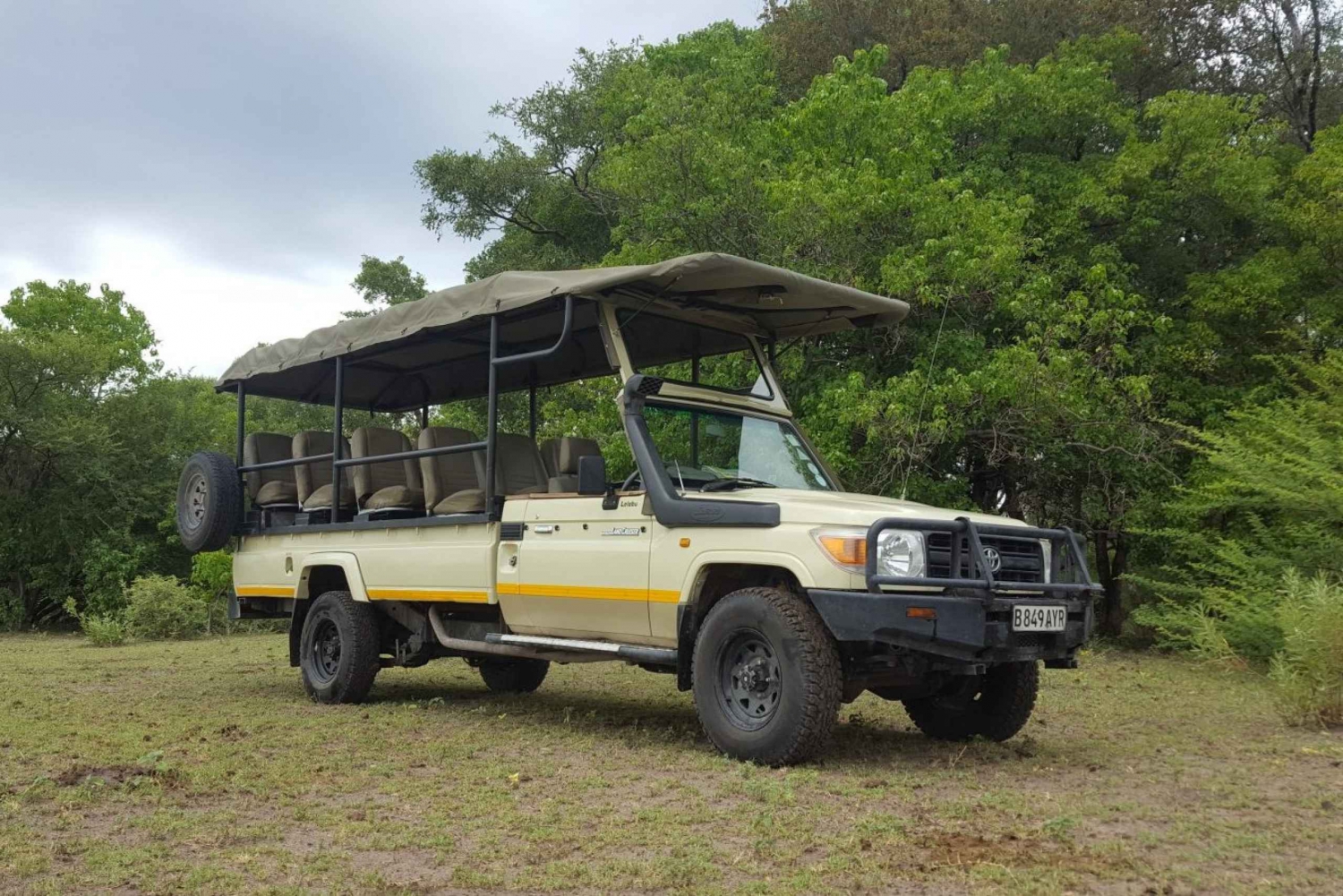 Victoria Falls: Big 5 - Hwange National Park Safari Day Tour