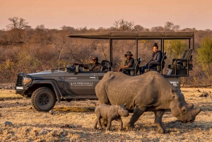 Victoria Falls: Big 5 Night Game Drive with Bush Dinner