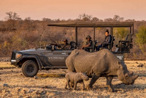 Victoria Falls: Big 5 Night Rhino Game Drive + Bush Dinner
