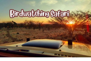 Victoria watervallen: Vogelspotten in het Zambezi National Park