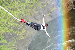 Victoria Falls Bridge:Bungee jumping