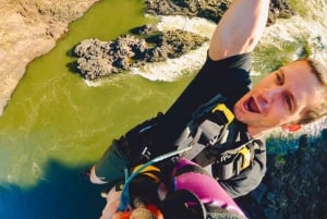 Victoria Falls: Bridge Swing