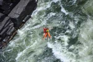 Victoria Falls: Bridge Swing