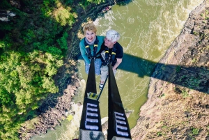 Victoria Falls: Bridge Swing