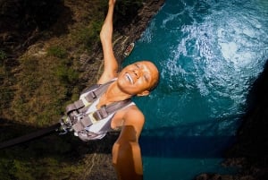 Victoria Falls: Bungee Jump and Jet Boat Ride Combo