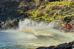 Victoria Falls: Bungee Jump and Jet Boat Ride Combo