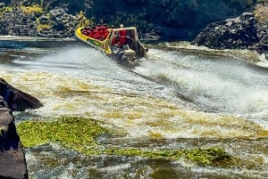 Victoria Falls: Bungee Jump and Jet Boat Ride Combo