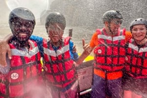 Victoria Falls: Kombination af bungee jump og bådtur med jetfly