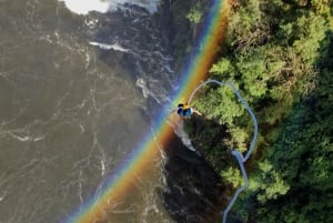 Victoria Falls: Bungee Jump mit Brückentour Option