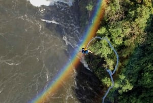 Victoria Falls: Bungee Jump mit Brückentour Option