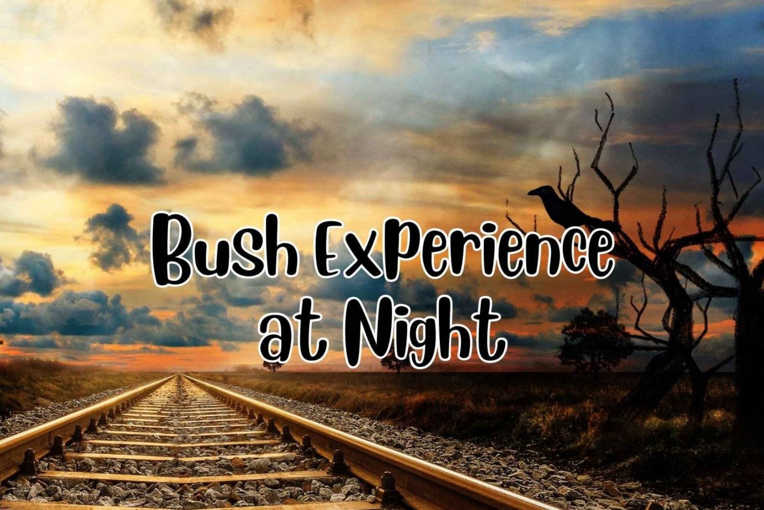 Victoria Falls: Bush Experience at Night with 4x4 Jeep