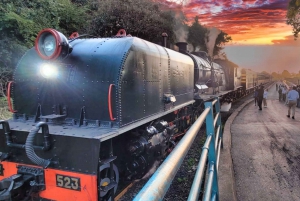 Victoria Falls: Bush Walk + Tour of Victoria Falls Town