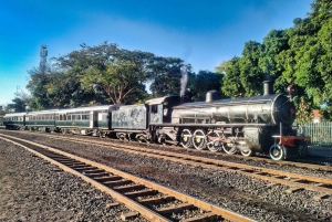 Victoria Falls: Bush Walk + Tour of Victoria Falls Town