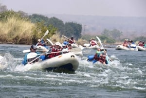 Victoria Falls: Canoeing - Upper Zambezi (Day Trail)