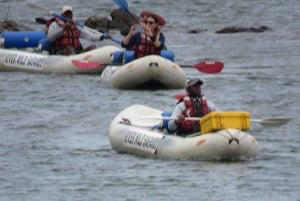 Victoria Falls: Canoeing - Upper Zambezi (Day Trail)