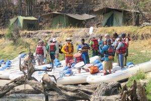 Victoria Falls: Canoeing - Upper Zambezi (Day Trail)