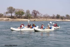 Victoria Falls: Canoeing - Upper Zambezi (Day Trail)