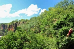 Victoria Falls: Canopy Tour with Transfers