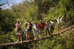 Victoria Falls: Canopy Tour with Transfers