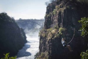 Victoria Falls: Canopy Tour with Transfers