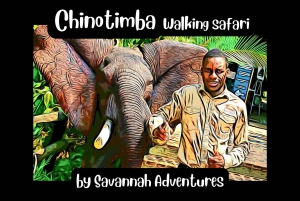 chengeta safari lodge contact details Victoria Falls, Chinotimba Walking Safari