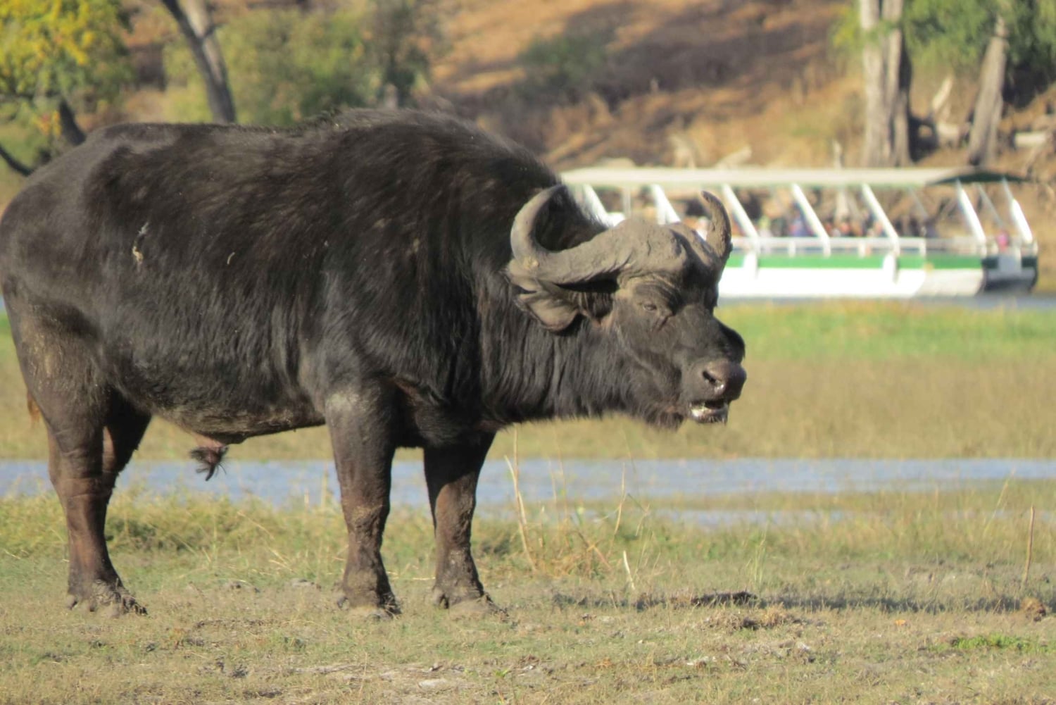 Victoria Falls & Chobe: 3-Day Safari with Cruise & Meals