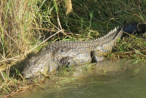 Victoria Falls & Chobe: 3-Day Safari with Cruise & Meals