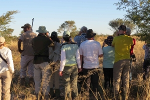 Victoria Falls & Chobe: 3-Day Safari with Cruise & Meals