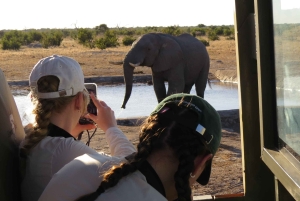 Victoria Falls & Chobe: 3-Day Safari with Cruise & Meals