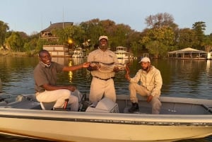 Victoriafälle: Chobe River Tiger Fishing Safari mit Mittagessen