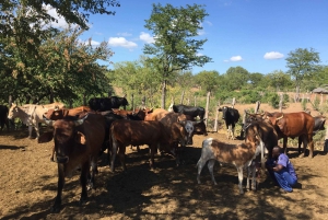Водопад Виктория; экскурсия по городу и деревням