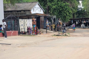 Victoria Falls : visite citadine avec un guide de la région