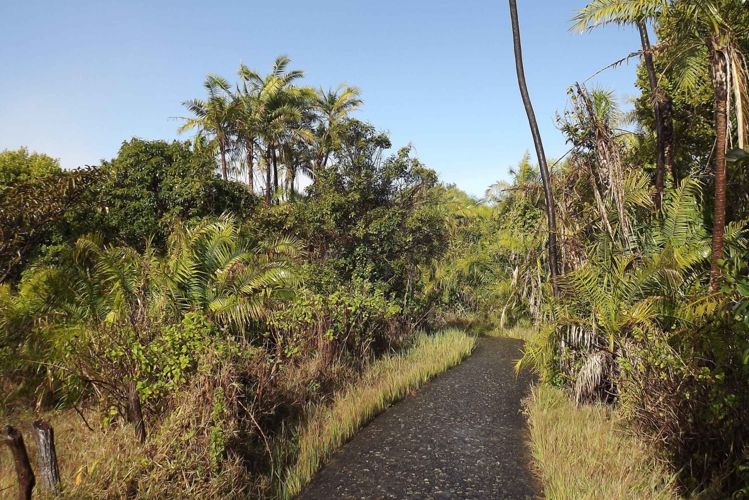Visite guidée transfrontalière des chutes Victoria