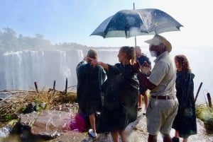 Visite guidée transfrontalière des chutes Victoria