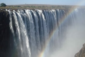 Visite guidée transfrontalière des chutes Victoria