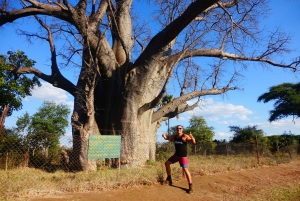 Victoria Falls: Kulturelle Tour mit High Tea