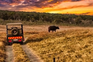 Victoria Falls: Dry Safari Game drive in National Park