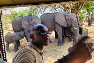 Victoria Falls: Dry Safari Game drive in National Park