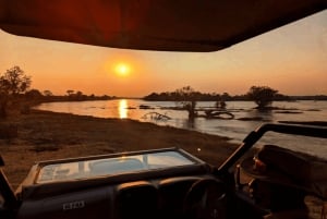 Victoria Falls: Dry Safari Game drive in National Park