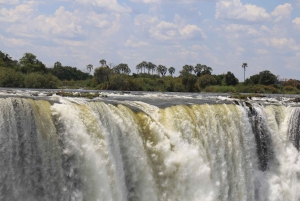 Victoria Falls: Dagstur til begge sider fra Kasane Zim og Zambia