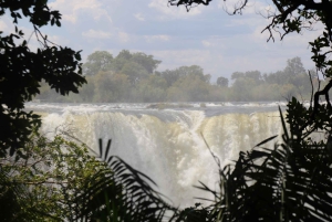 Victoria Falls: Dagstur til begge sider fra Kasane Zim og Zambia